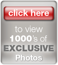CLICK HERE to view 1000's of EXCLUSIVE Photos